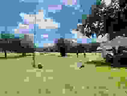 448877823_10232108694078009_2582202041504283153_n